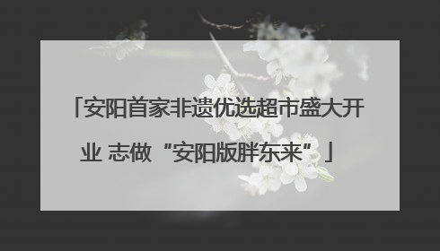 安阳首家非遗优选超市盛大开业 志做“安阳版胖东来”