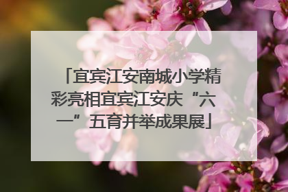 宜宾江安南城小学精彩亮相宜宾江安庆“六一”五育并举成果展