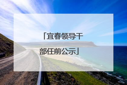 宜春领导干部任前公示