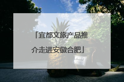 宜都文旅产品推介走进安徽合肥