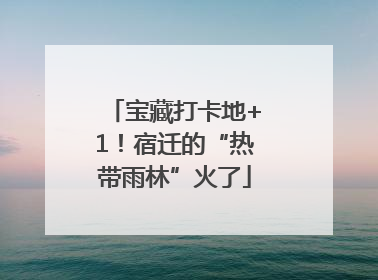 宝藏打卡地+1！宿迁的“热带雨林”火了