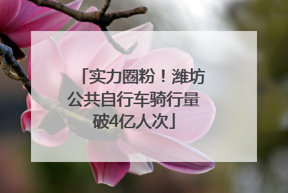 实力圈粉！潍坊公共自行车骑行量破4亿人次