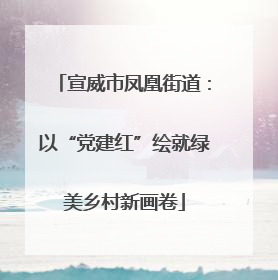 宣威市凤凰街道：以“党建红”绘就绿美乡村新画卷