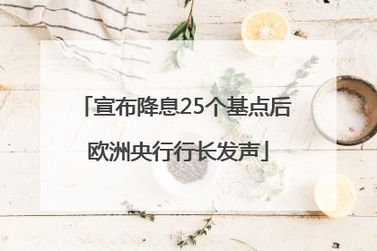 宣布降息25个基点后 欧洲央行行长发声