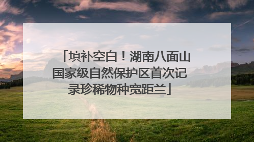 填补空白！湖南八面山国家级自然保护区首次记录珍稀物种宽距兰