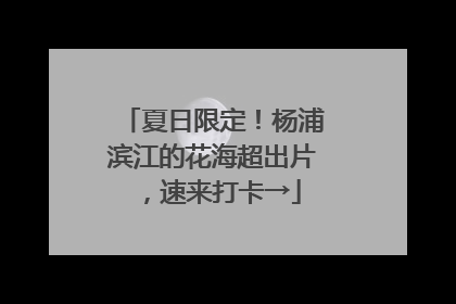 夏日限定！杨浦滨江的花海超出片，速来打卡→