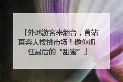 外地游客来烟台，首站直奔大樱桃市场！邀你抓住最后的“甜蜜”