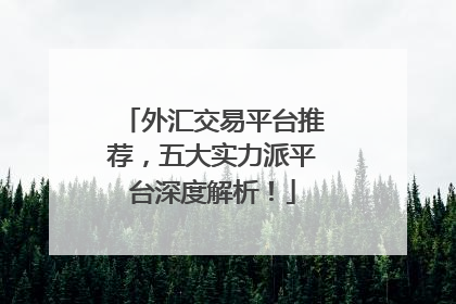 外汇交易平台推荐，五大实力派平台深度解析！