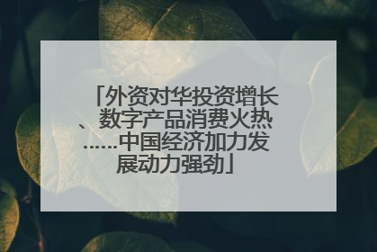 外资对华投资增长、数字产品消费火热……中国经济加力发展动力强劲