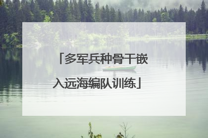 多军兵种骨干嵌入远海编队训练