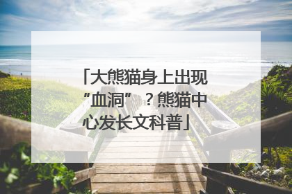 大熊猫身上出现“血洞”？熊猫中心发长文科普