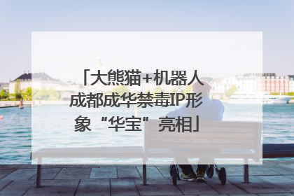 大熊猫+机器人 成都成华禁毒IP形象“华宝”亮相