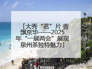 大秀“茗”片 香飘京华——2025年“一展两会”展现泉州茶独特魅力