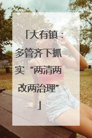 大有镇：多管齐下抓实“两清两改两治理”
