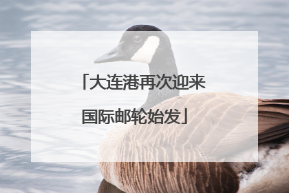 大连港再次迎来国际邮轮始发