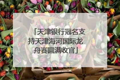 天津银行冠名支持天津海河国际龙舟赛圆满收官
