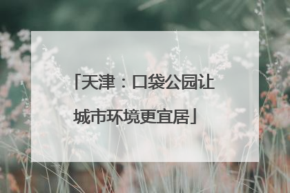 天津：口袋公园让城市环境更宜居