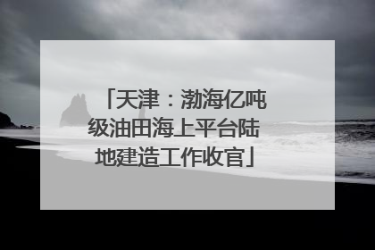 天津：渤海亿吨级油田海上平台陆地建造工作收官