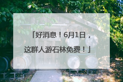 好消息！6月1日，这群人游石林免费！