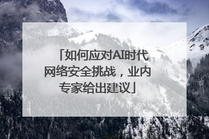 如何应对AI时代网络安全挑战，业内专家给出建议