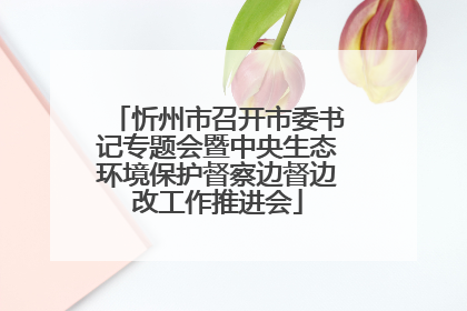 忻州市召开市委书记专题会暨中央生态环境保护督察边督边改工作推进会