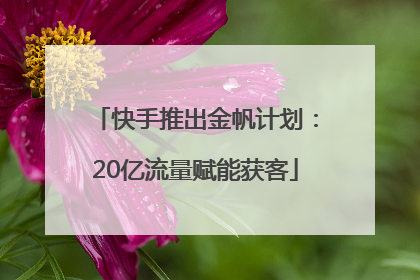 快手推出金帆计划：20亿流量赋能获客