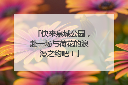快来泉城公园，赴一场与荷花的浪漫之约吧！