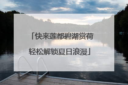 快来莲都碧湖赏荷 轻松解锁夏日浪漫