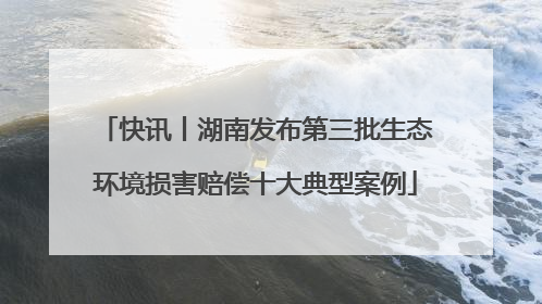 快讯丨湖南发布第三批生态环境损害赔偿十大典型案例