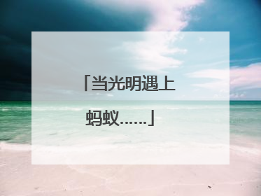 当光明遇上蚂蚁……