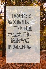 彬州公安城关派出所：三小时速寻遗失手机 锦旗背后的为民速度