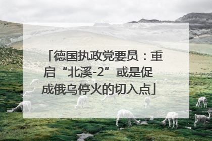 德国执政党要员：重启“北溪-2”或是促成俄乌停火的切入点