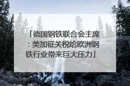 德国钢铁联合会主席：美加征关税给欧洲钢铁行业带来巨大压力