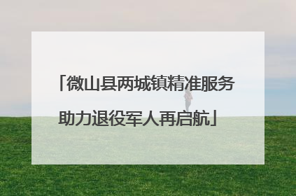 微山县两城镇精准服务助力退役军人再启航