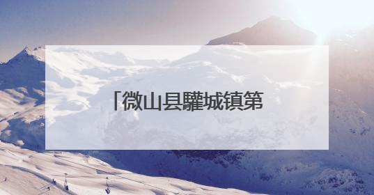 微山县驩城镇第一书记工作队开展“送清凉、助生产”慰问活动