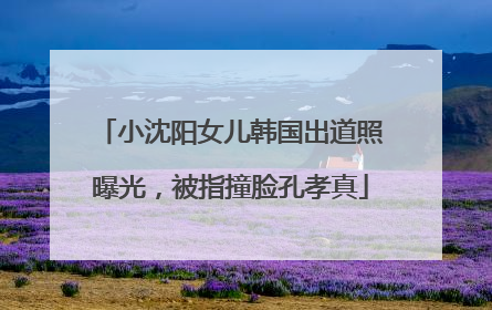 小沈阳女儿韩国出道照曝光，被指撞脸孔孝真