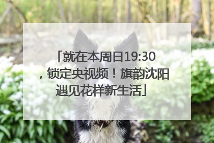 就在本周日19:30，锁定央视频！旗韵沈阳 遇见花样新生活