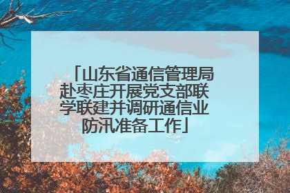 山东省通信管理局赴枣庄开展党支部联学联建并调研通信业防汛准备工作