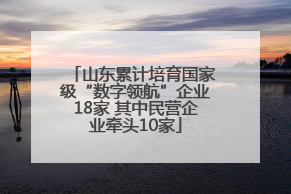 山东累计培育国家级“数字领航”企业18家 其中民营企业牵头10家