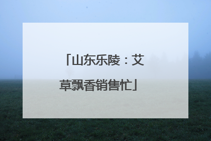 山东乐陵：艾草飘香销售忙