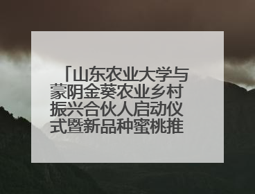 山东农业大学与蒙阴金葵农业乡村振兴合伙人启动仪式暨新品种蜜桃推介活动举行