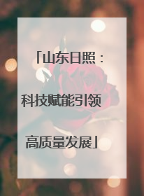 山东日照：科技赋能引领高质量发展