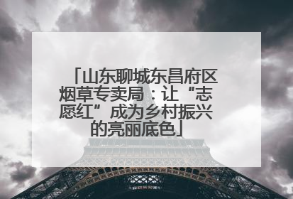 山东聊城东昌府区烟草专卖局：让“志愿红”成为乡村振兴的亮丽底色