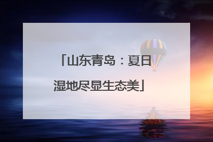 山东青岛：夏日湿地尽显生态美