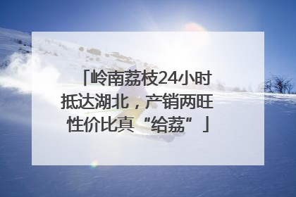 岭南荔枝24小时抵达湖北，产销两旺性价比真“给荔”