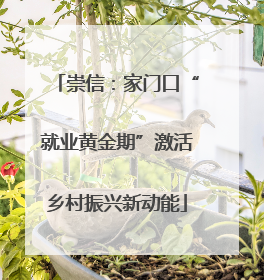 崇信：家门口“就业黄金期”激活乡村振兴新动能