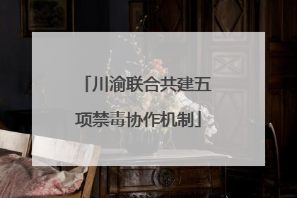 川渝联合共建五项禁毒协作机制