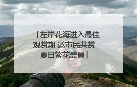 左岸花海进入最佳观赏期 邀市民共赏夏日繁花盛景