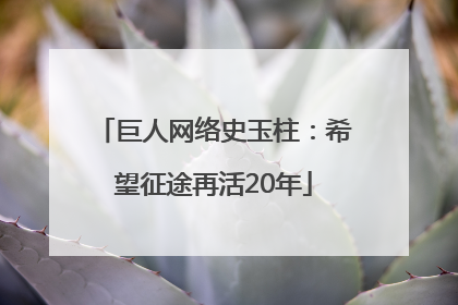 巨人网络史玉柱：希望征途再活20年