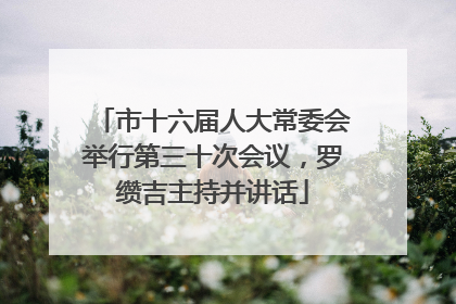市十六届人大常委会举行第三十次会议，罗缵吉主持并讲话